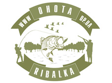Создание логотипа для OHOTA.DP.UA.