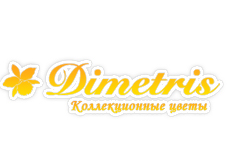 Разработка логотипа для компании Dimetris.
