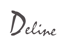 Создание  сайта компании Deline | разработка дизайна | изготовление логотипа  | студия веб  дизайна de LUXE |  Днепропетровск | Украина.