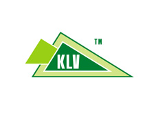 Создание  сайта компании Клевер | разработка дизайна | изготовление логотипа  | студия веб  дизайна de LUXE |  Днепропетровск | Украина.